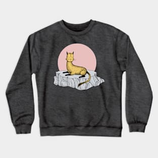 Sunbather Crewneck Sweatshirt